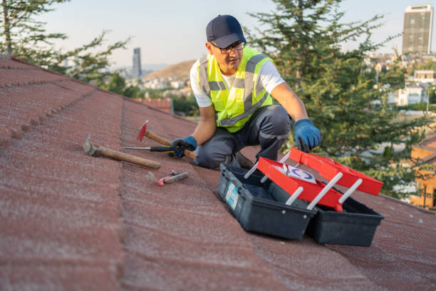 Best Storm Damage Siding Repair  in Sierra Vista Southeast, AZ